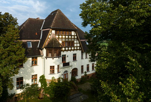 Gut Alt Necheln Blick durch die Bäume